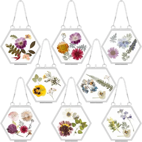 Miniatura 8 de Marsui 8 Piezas Marcos de Flores Prensadas 4 x 3 Pulgadas Marcos de Fotos Flotantes de Vidrio Colgantes para Flores Prensadas Vidrio Doble Imagen