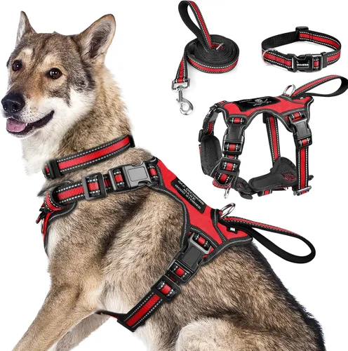 Miniatura 28 de WINSEE - Juego de arnés, collar y correa para mascotas, todo en uno, arnés reflectante para perros sin tirones con hebillas ajustables para Rojo