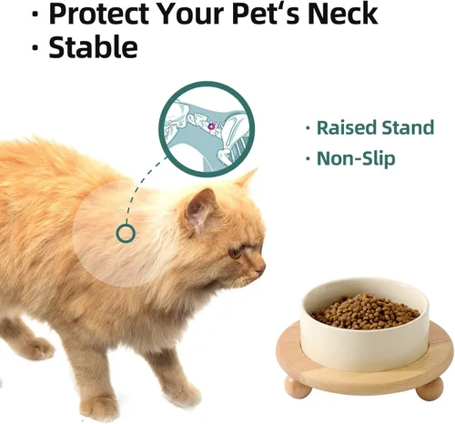 Miniatura 5 de Havniva - Tazón de cerámica elevado para comida y agua de gatos, cuenco para gatitos, plato de gato elevado, comedero para mascotas