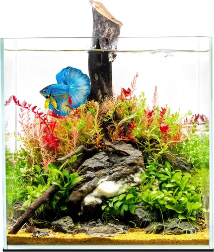 Miniatura 31 de UNS Acuario Ultra Claro Sin Borde - 25.6GAL 97.2L - 23.62x14.17x17.71 60x36x45 CM, Grosor de Vidrio de 6mm, Incluye Alfombrilla Nivelante