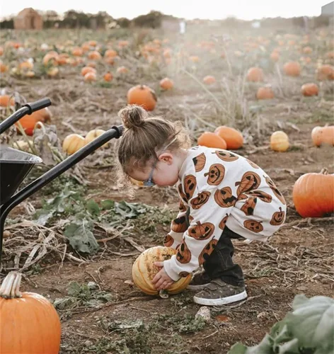Miniatura 33 de Ropa de Halloween para bebé niña, sudadera con estampado de calabaza, mameluco de burbujas, lindo traje de Acción de Gracias de otoño