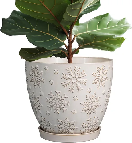 Miniatura 18 de MPotTo Maceta de 6.9 pulgadas con orificio de drenaje y platillo de cerámica para plantas de interior, maceta para orquídeas y suculentas