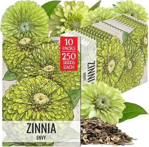 Miniatura 8 de Seed Needs California Giants - Semillas de zinnia – 250 semillas tradicionales para plantar Zinnia elegans – Cultiva flores anuales polinizadas