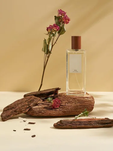 Accesorios de fotografía de productos para sesión de fotos: 6PCS Natural Forest Wood Photo Props - Artículos pequeños Accesorios de imagen de madera