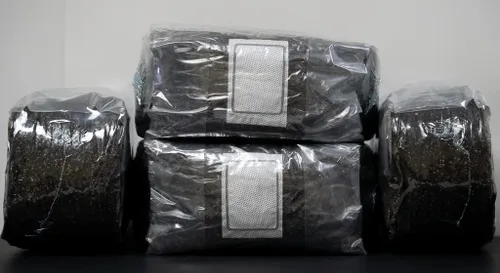 Miniatura 6 de MycoHaus Compost para cultivo de hongos Sustrato esterilizado para hongos Suelo orgánico de hongos Suministros de cultivo para el hogar 10