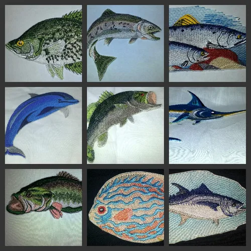 Miniatura 3 de Nature's Bounty Hermosos retratos de peces personalizados [pez disco] Parche bordado para planchar y coser [4.5 x 3.5 pulgadas] fabricado en Estados