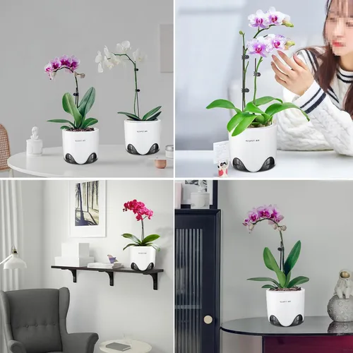 Miniatura 9 de Macetas de orquídeas con agujeros para trasplantar, plástico de doble capa que imita la maceta de orquídea de cerámica que proporciona una buena
