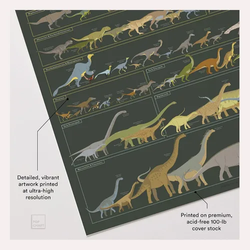 Miniatura 3 de Pop Chart Dinosauria Póster de dinosaurio de 16 x 20 pulgadas Tabla actualizada de ciencia de dinosaurios Decoración de pared