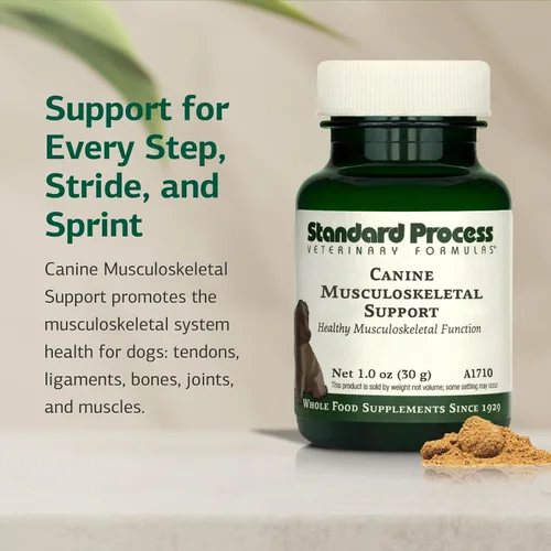 Miniatura 3 de Standard Process Soporte musculoesquelético canino - Fórmula de salud ósea y articular para mascotas - Suplemento de apoyo musculoesquelético canino