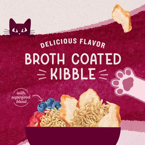 Miniatura 8 de Natural Balance Alimento ultra seco original para gatos, receta de harina de pollo y salmón, salud de todo el cuerpo para gatitos a gatos adultos, 6