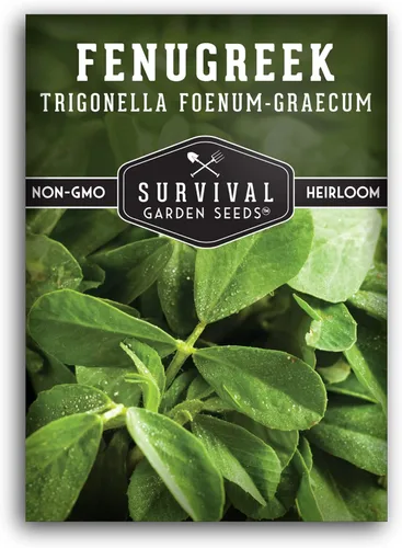 Semillas de fenogreco para plantar, hierba heredera Methi para microverdes, hojas y cosechas de semillas de especias, semillas de jardín sin OMG,