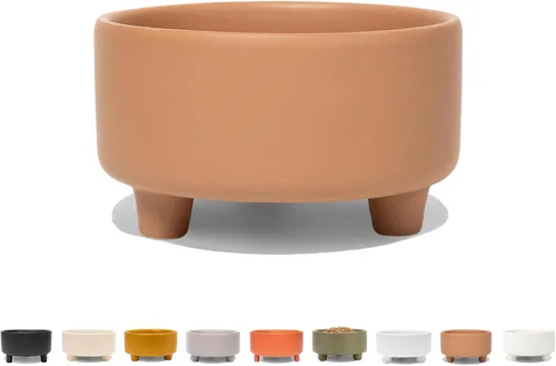 Miniatura 10 de Waggo Uplift - Tazón de cerámica para perros para razas pequeñas, medianas y grandes, pesado y duradero, para alimentos y agua, apto para Crema