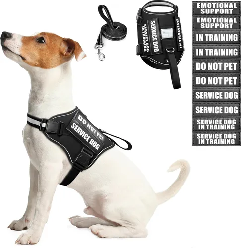 Miniatura 11 de Juego de arnés y correa para perro de servicio, chaleco de entrenamiento para perros con 10 parches para perros, arnés y chaleco para perros de Azul