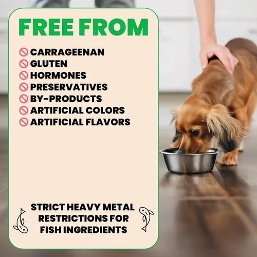 Miniatura 4 de almo nature HQS Natural - Alimento húmedo para perros, filete de atún en caldo, 9.87 onzas, paquete de 12