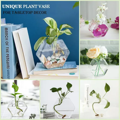 Miniatura 3 de Kingbuy Juego de Macetas Hexagonales de Pared - Paquete de 3 Jarrones de Terrario de Propagación de Vidrio con Soportes Colgantes para Plantas
