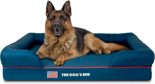 Miniatura 64 de The Dog's Bed - Cama ortopédica de espuma viscoelástica para perros medianos, colchón de soporte de alta densidad, entrada frontal baja, funda negro