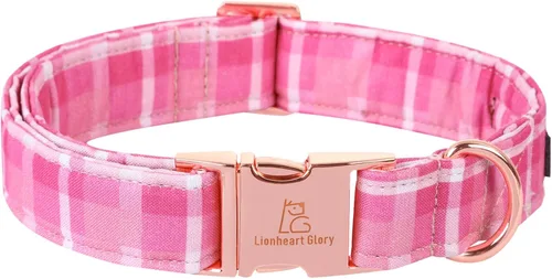 Miniatura 8 de Lionheart glory Collar de perro, Collar de perro azul Collar de perro para niños Collar ajustable de dinosaurio para perros pequeños Regalo