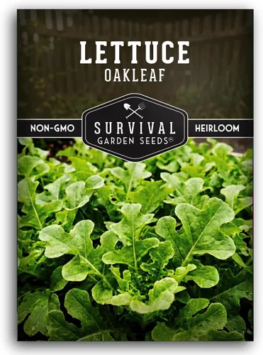 Oakleaf - Semillas de lechuga para plantar, semillas de lechuga de hoja de roble de hojas sueltas para cultivo de jardín, tolerantes al calor, de