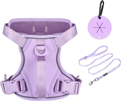 Miniatura 12 de Petmolico Arnés para perros pequeños, bonito arnés con dos clips para correa y mango suave, chaleco reflectante para cachorros fácil de caminar