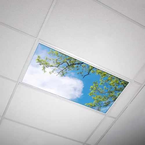 Miniatura 12 de Cubierta de luz fluorescente para luces de techo de aula, inserto de película retroiluminada de alta calidad, 2 x 4 (22.38 x 46.5 pulgadas), Árbol