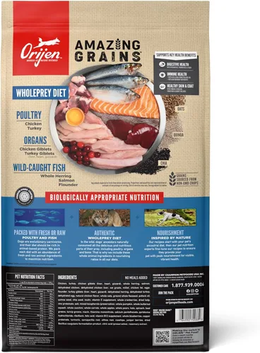 Miniatura 2 de ORIJEN Amazing Grains - Alimento seco para perros con alto contenido de proteínas, receta original, bolsa de 22.5 libras