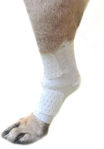 Miniatura 9 de PawFlex Vendajes para heridas articulares y de área grande para perros, gatos y otras mascotas. Ideal para esguinces de articulaciones de piernas