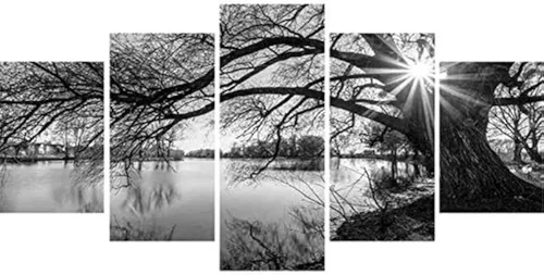Kit de arte completo de diamantes 5D para bricolaje, árbol blanco y negro, superficie de lago, 5 piezas, kit de arte multidiamante para adultos,