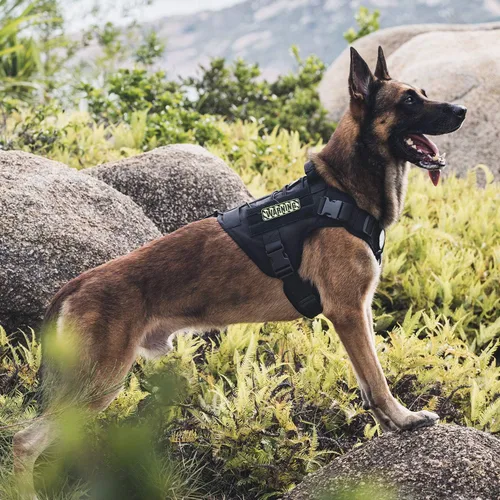 Miniatura 6 de OneTigris Chaleco Arnés Táctico para Perros, Chaleco para Perro de Servicio Sin Tirones con Paneles de Velcro, Arnés Chaleco Ajustable para Perros