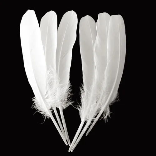 GOODIY 22 plumas largas naturales de 8-10 pulgadas (7.9-9.8 in), hermosas plumas de ganso blanco natural, plumas grandes bilaterales, plumas