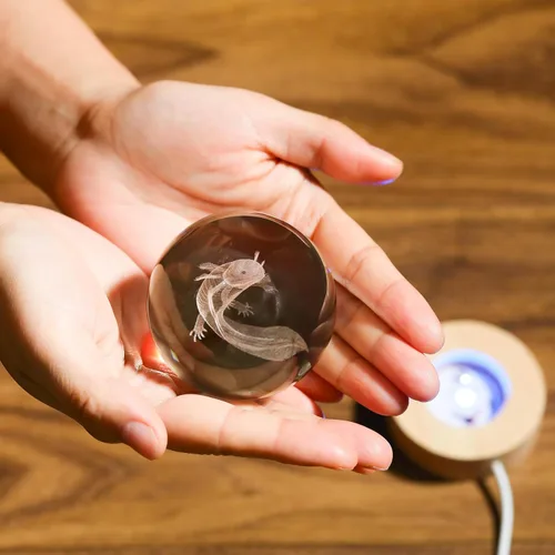 Miniatura 4 de Regalos de ajolote 3D para mujer, bola de cristal de 2.362 in, figuras de ajolote, decoración de animales de cristal, artículos de animales