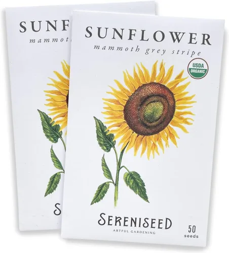 Sereniseed Semillas de girasol con rayas grises mamut orgánicas certificadas (paquete de 2) – 100% sin OMG, polinizadas abiertas – Guía para plantar