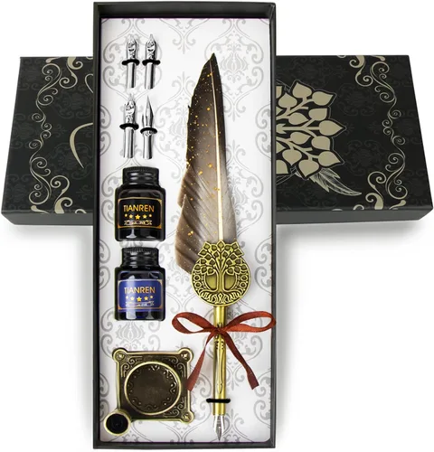 TIANREN Juego de Pluma y Tinta, juego de pluma de escribir, Pluma de Caligrafía Antigua con 4 Plumillas Reemplazables, 2 Frascos de Tinta, Soporte