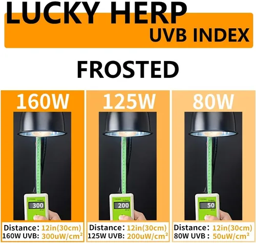 Miniatura 4 de LUCKY HERP Bombilla de calor de vapor UVA+UVB de 160 vatios, lámpara de alta intensidad autobalastada para reptiles y anfibios, lámpara solar