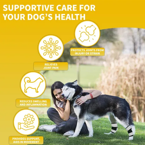 Miniatura 7 de AGON Par de soporte trasero para perro con cuerdas de metal y envolturas reflectantes, correas de compresión para la pierna trasera canina protege