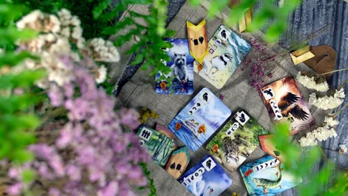Miniatura 8 de Meadow Downstream Juego de mesa EXPANSIÓN Estrategia Aventura Naturaleza Diversión Familiar para Adultos y Niños a partir de 10 a 4 jugadores