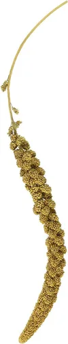 Miniatura 2 de F.M. Brown's - Spray de mijo dorado, 5 libras