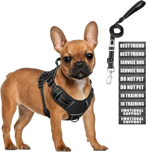 Miniatura 12 de Juego de arnés táctico para perros y correa para perros grandes, chaleco de perro de servicio resistente sin tirones y 10 parches con cinturón