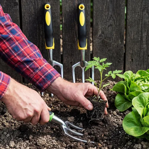 Miniatura 5 de Yaocom 12 piezas de rastrillos de mano, mini cultivador de jardín de alta resistencia, rastrillo pequeño de 11 pulgadas con mango para excavar