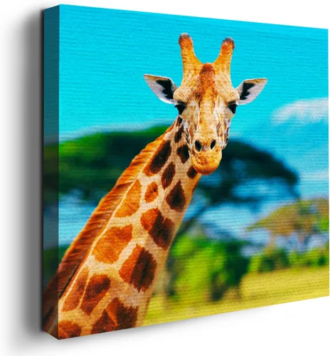 Miniatura 37 de Mavis Print - Lienzo decorativo para pared con diseño de conejo/conejo, 36 x 36 pulgadas, decoración de pared de animales impresos en HD y marco