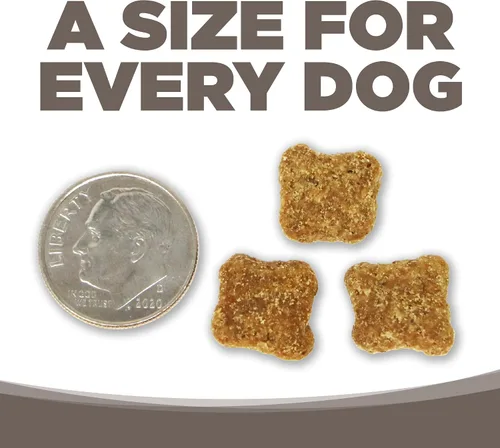 Miniatura 6 de NutriSource Alimento seco para perros mayores, pollo y arroz, 4 libras
