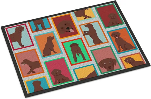 Miniatura 29 de Caroline's Treasures MLM1149MAT - Felpudo rojo Border Collie de 18 x 27 pulgadas, para interiores y exteriores, para entrada, antideslizante, Border