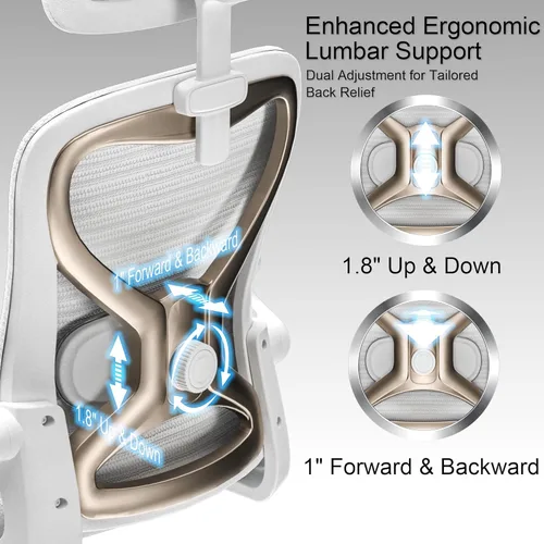 Miniatura 3 de Silla de oficina ergonómica para aliviar el dolor de espalda y cuello, asiento de espuma virgen, reposacabezas lumbar y 3D ajustable 2D, inclinación