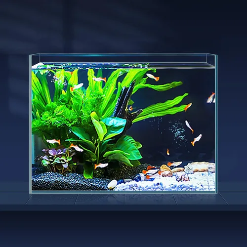 Miniatura 6 de LAQUAL Tanque de peces de vidrio ultra transparente de 6.5 galones, acuario sin borde de vidrio bajo en hierro