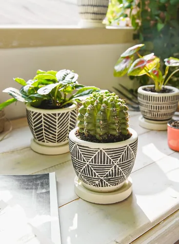 Miniatura 5 de LE TAUCI Macetas bohemias para suculentas de 3 pulgadas, macetas pequeñas artesanales para suculentas, macetas pequeñas de cemento para plantas