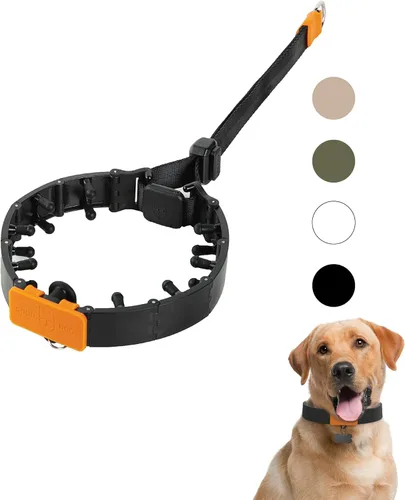Miniatura 7 de SVD.PET Collar de punta para perro para entrenamiento sin tirones, hebilla de liberación rápida ajustable para perros pequeños, medianos y grandes