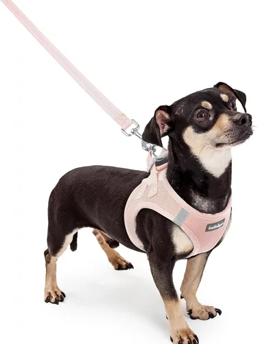 Miniatura 76 de rabbitgoo Juego de arnés para perro de tamaño pequeño y correa, chaleco ligero suave para cachorro, arnés de malla transpirable para mascotas