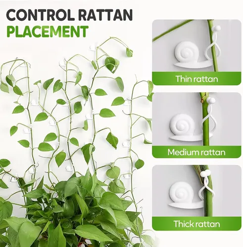 Miniatura 4 de Clips de pared para escalada de plantas, clips de soporte para plantas 2025, clips de jardín reutilizables, clips de soporte para plantas
