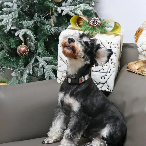 Miniatura 5 de Aring Pet Collar de Navidad para perro, lindo, de algodón, cuadros rojos y verdes, ligeros, para cachorros, para perros pequeños, medianos y Navidad