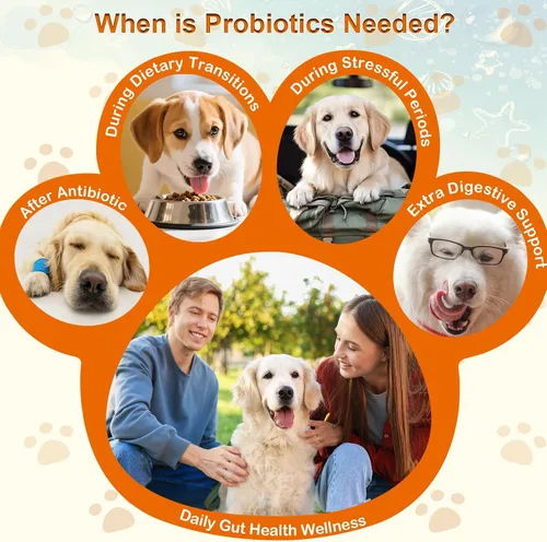Miniatura 6 de Los probióticos masticables suaves para perros apoyan la salud intestinal, alivio de gases para la diarrea, el equilibrio digestivo de levaduras