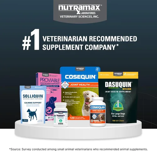 Miniatura 9 de Nutramax Dasuquin con MSM masticables, perro grande, 150